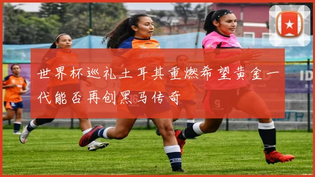 世界杯巡礼土耳其重燃希望黄金一代能否再创黑马传奇
