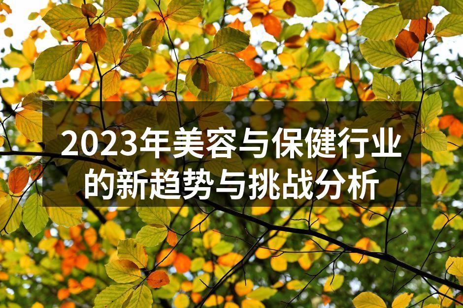 2023年美容与保健行业的新趋势与挑战分